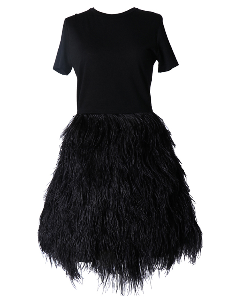 ブラックのショートスリーブタイプのショートドレス。トップスはシンプル、スカートは全体にフェザーがあしらわれているオールブラックのワンピースです。